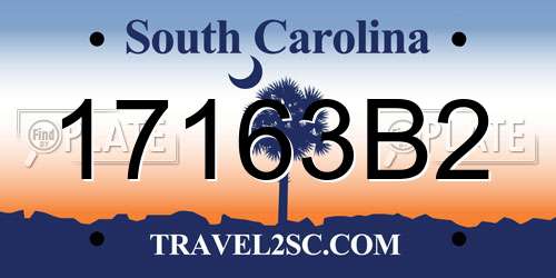 17163B2 South Carolina License Plate