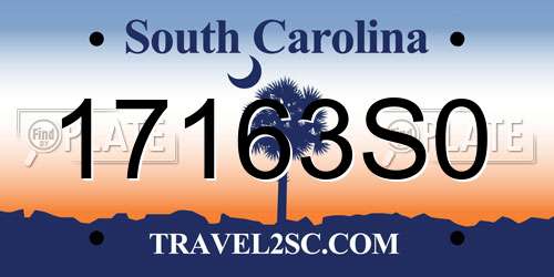 17163S0 South Carolina License Plate