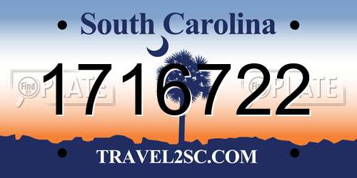 1716722 South Carolina License Plate