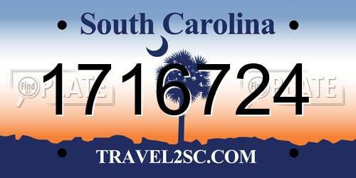 1716724 South Carolina License Plate
