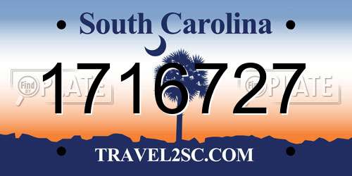 1716727 South Carolina License Plate