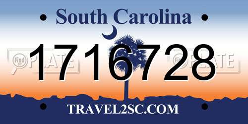 1716728 South Carolina License Plate