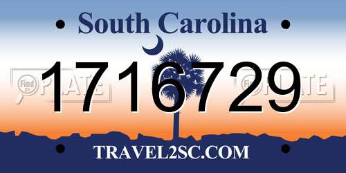 1716729 South Carolina License Plate