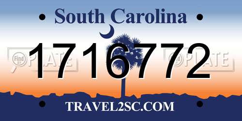 1716772 South Carolina License Plate
