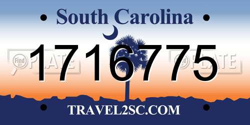 1716775 South Carolina License Plate