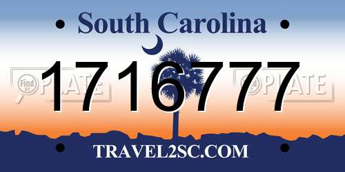 1716777 South Carolina License Plate