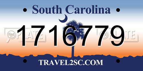 1716779 South Carolina License Plate