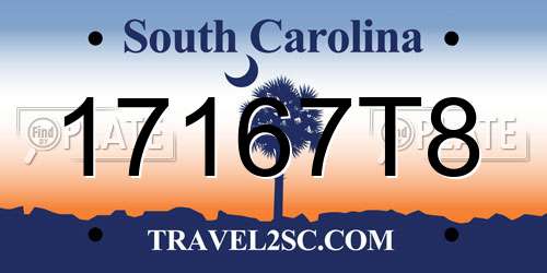 17167T8 South Carolina License Plate