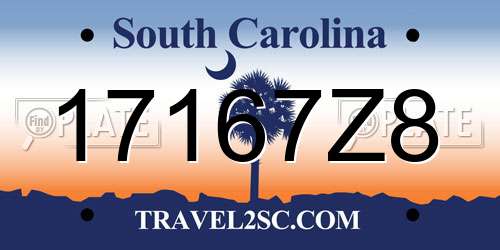 17167Z8 South Carolina License Plate