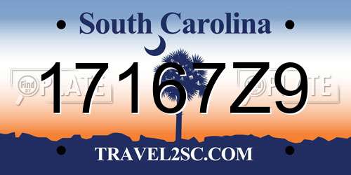 17167Z9 South Carolina License Plate