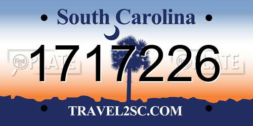 1717226 South Carolina License Plate
