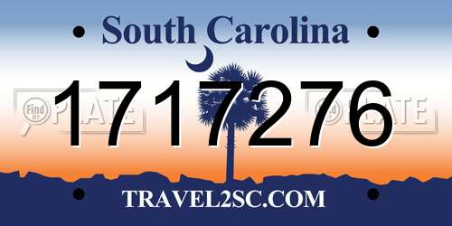 1717276 South Carolina License Plate