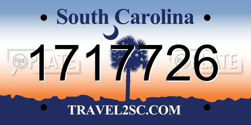 1717726 South Carolina License Plate