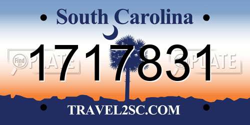1717831 South Carolina License Plate