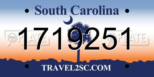 1719251 South Carolina License Plate
