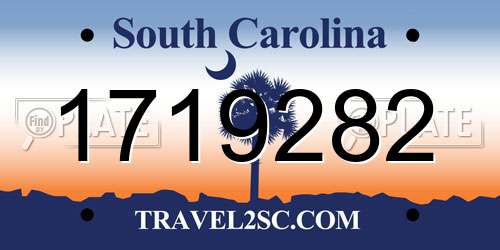 1719282 South Carolina License Plate