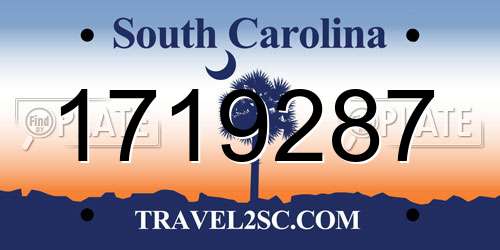 1719287 South Carolina License Plate