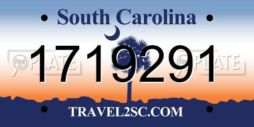 1719291 South Carolina License Plate