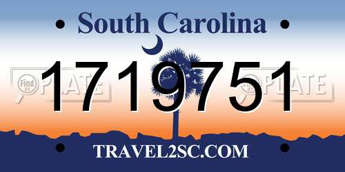 1719751 South Carolina License Plate