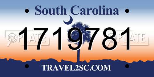 1719781 South Carolina License Plate