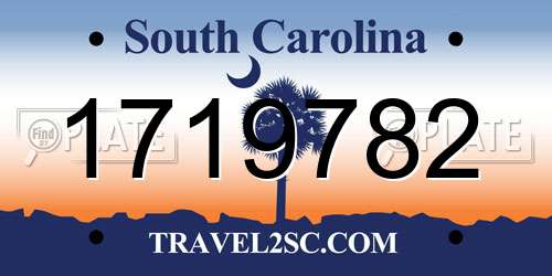 1719782 South Carolina License Plate