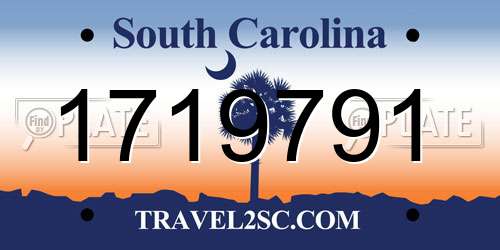 1719791 South Carolina License Plate
