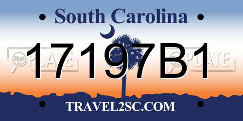17197B1 South Carolina License Plate