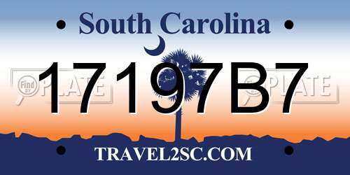 17197B7 South Carolina License Plate