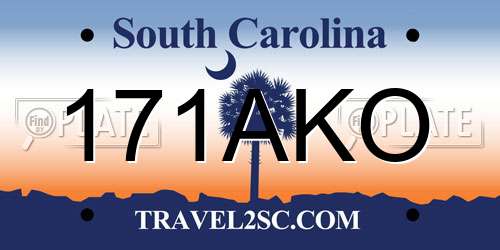 171AKO South Carolina License Plate