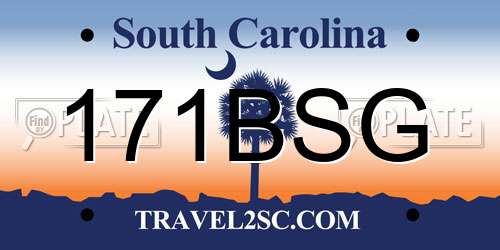 171BSG South Carolina License Plate