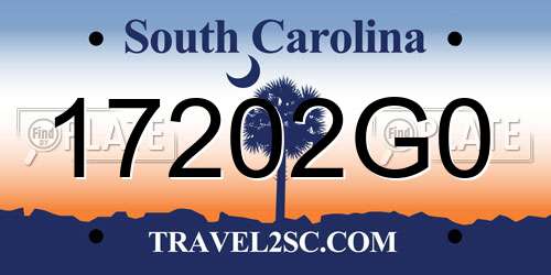 17202G0 South Carolina License Plate