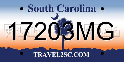 17203MG South Carolina License Plate