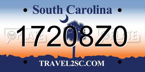 17208Z0 South Carolina License Plate