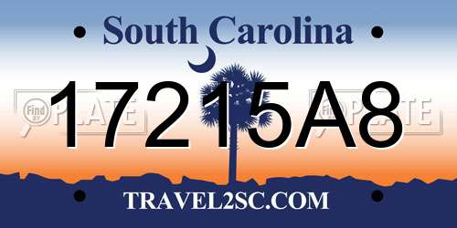 17215A8 South Carolina License Plate