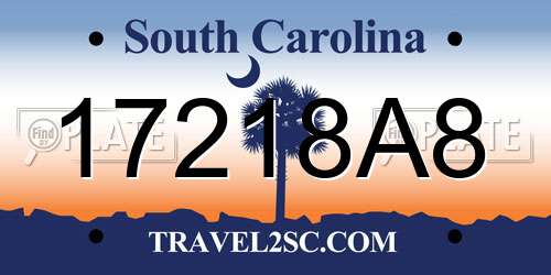 17218A8 South Carolina License Plate