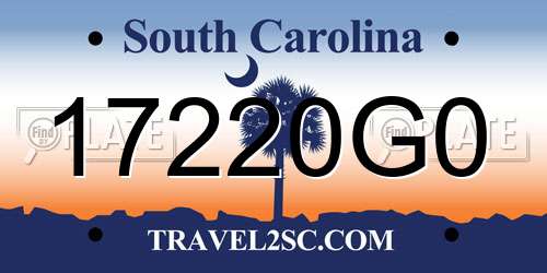 17220G0 South Carolina License Plate