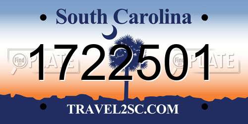 1722501 South Carolina License Plate