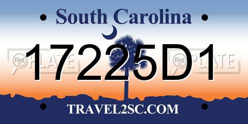 17225D1 South Carolina License Plate