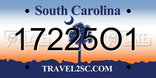 17225O1 South Carolina License Plate