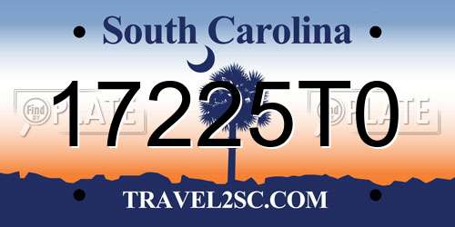 17225T0 South Carolina License Plate
