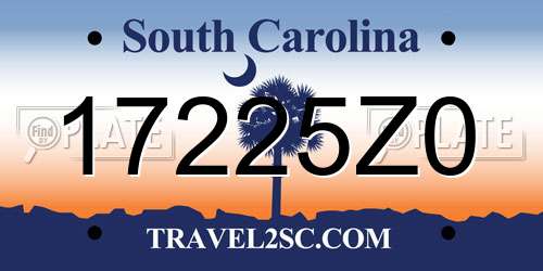 17225Z0 South Carolina License Plate