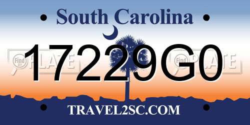 17229G0 South Carolina License Plate
