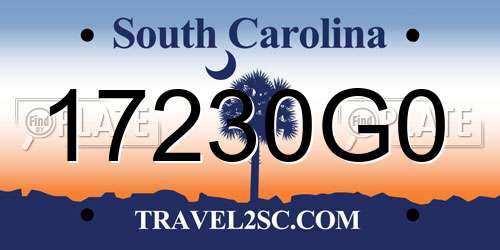 17230G0 South Carolina License Plate