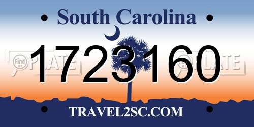 1723160 South Carolina License Plate