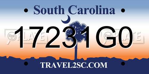 17231G0 South Carolina License Plate
