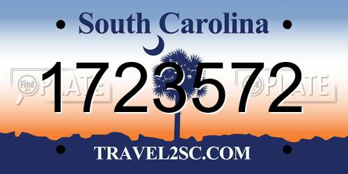 1723572 South Carolina License Plate