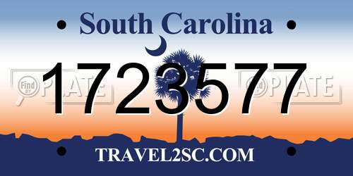 1723577 South Carolina License Plate