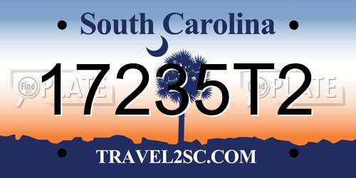 17235T2 South Carolina License Plate
