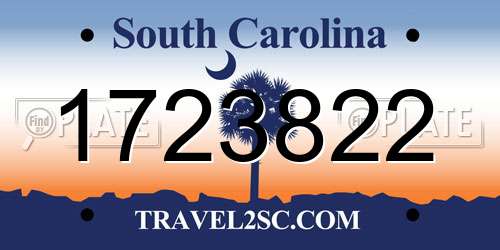 1723822 South Carolina License Plate