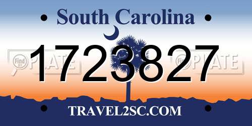 1723827 South Carolina License Plate